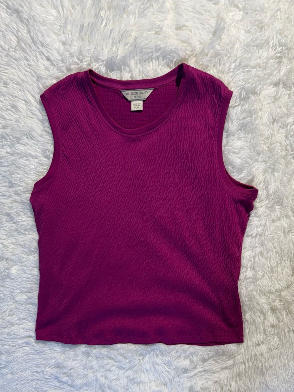 Allison Daley Sleeveless Tops Bundle Lot of 2 Blue Magenta Size L / PL - Picture 5 of 10